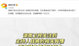 描写娱乐圈吃瓜文案,揭秘明星幕后风云